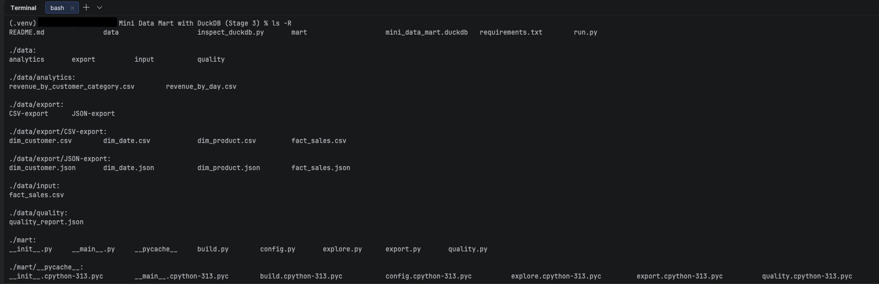 Stage 3 — packaged mart module with CLI entrypoint