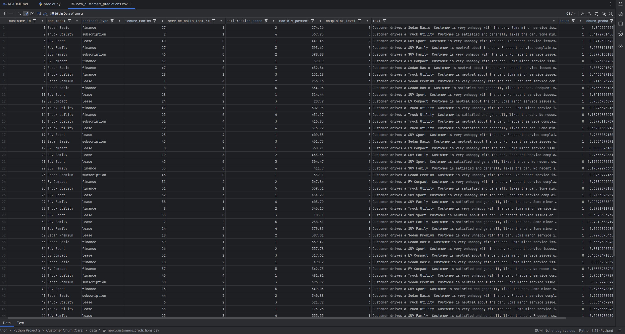 Predictions CSV preview