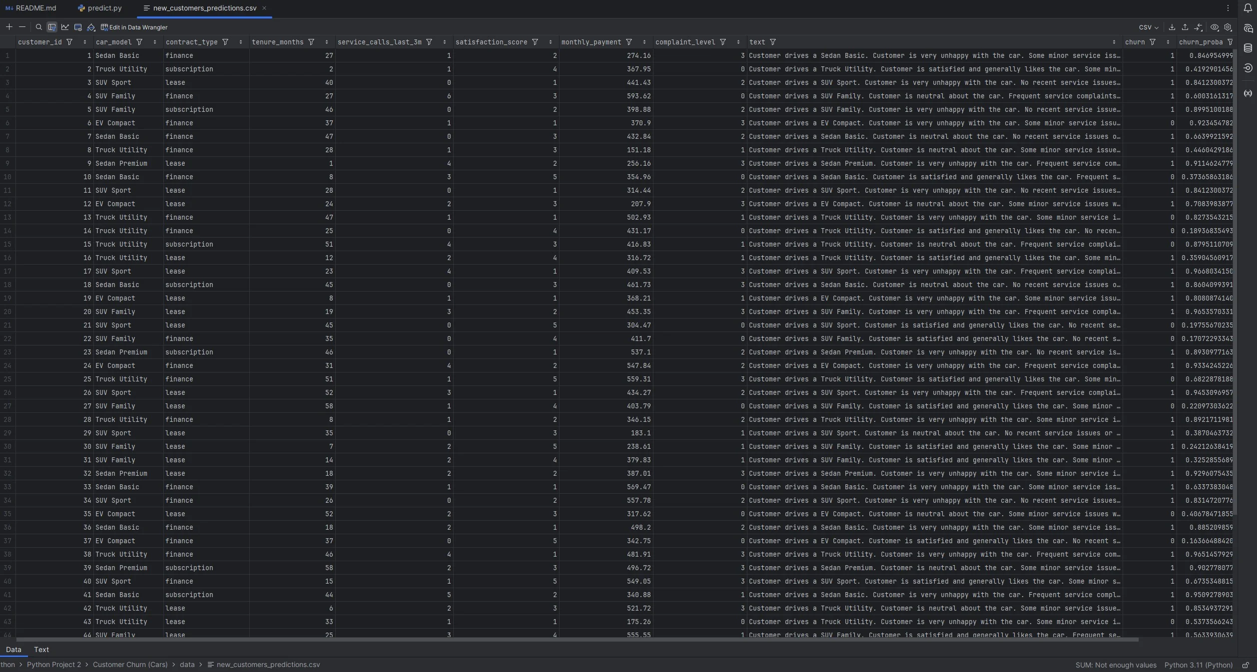 Predictions CSV preview