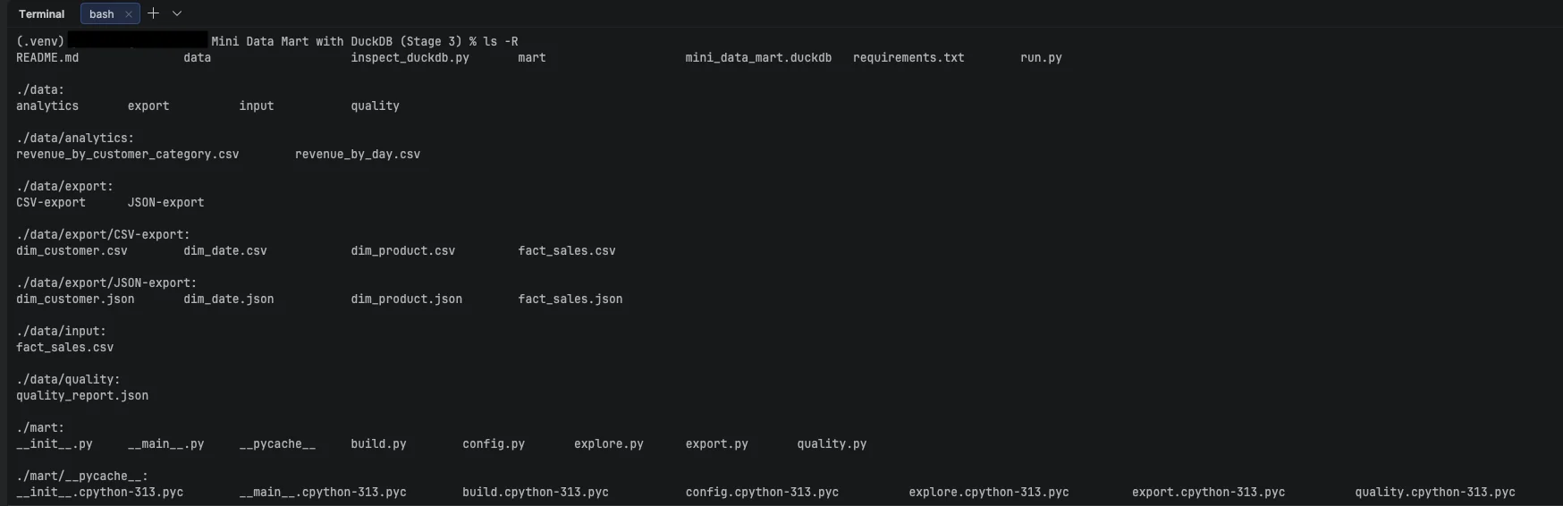 Stage 3 — packaged mart module with CLI entrypoint