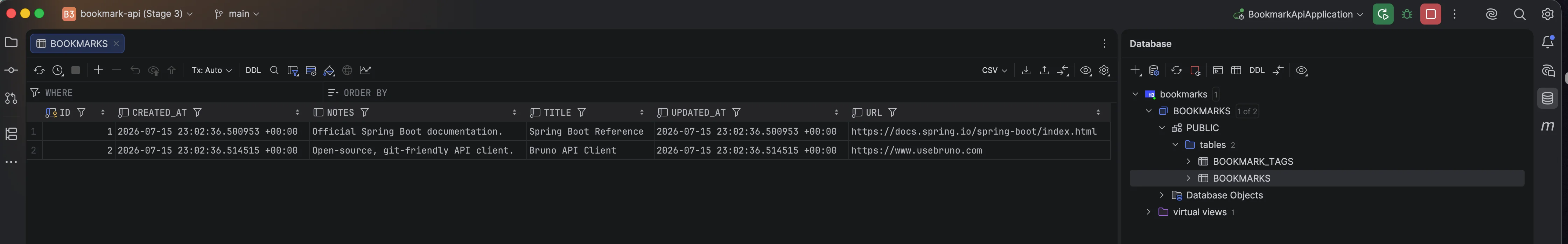 Stage 3 — IntelliJ Database tool browsing H2
